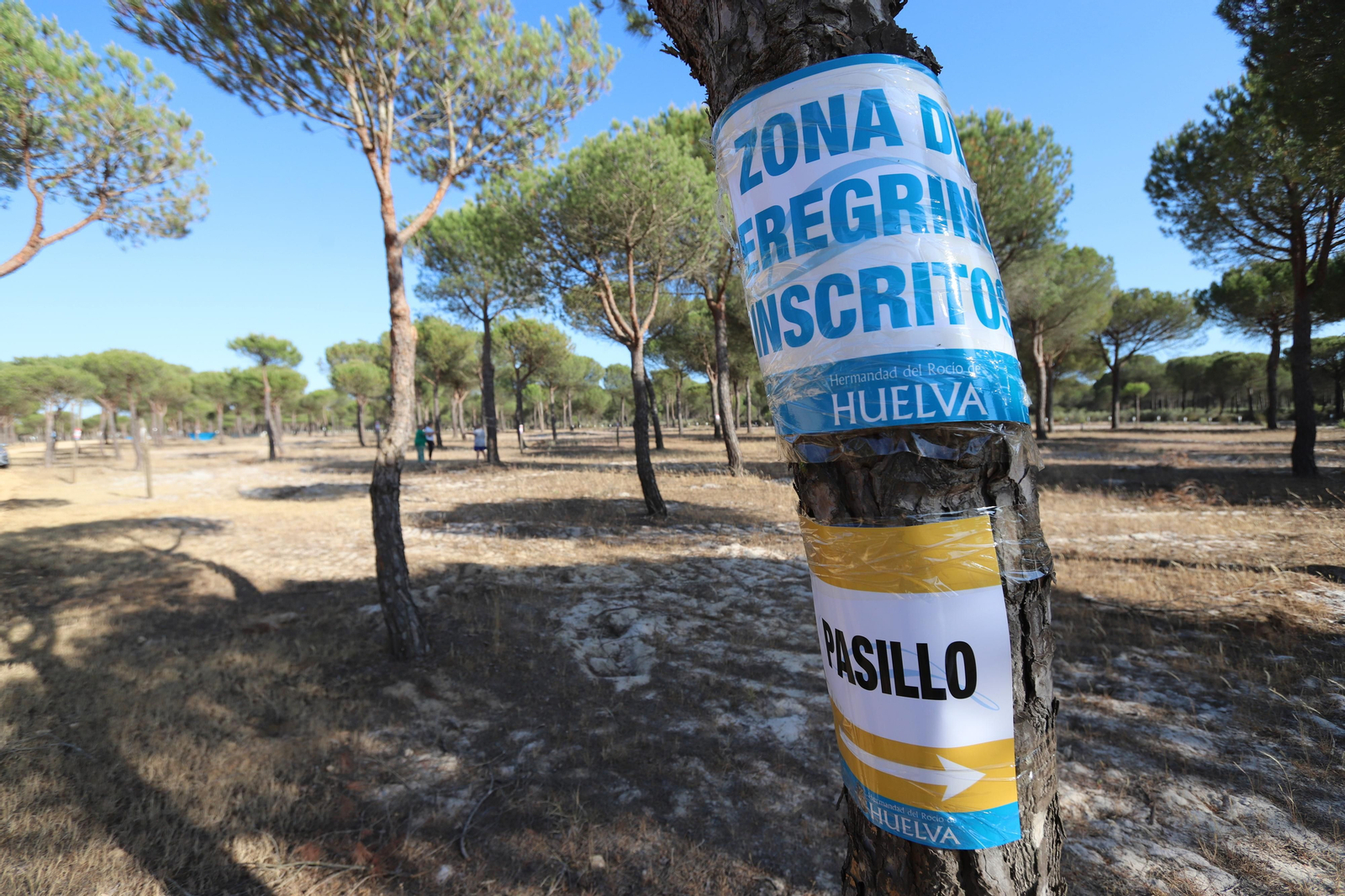 Imágenes del estado en el que se encuentran los caminos del Rocío para la Romería 2023