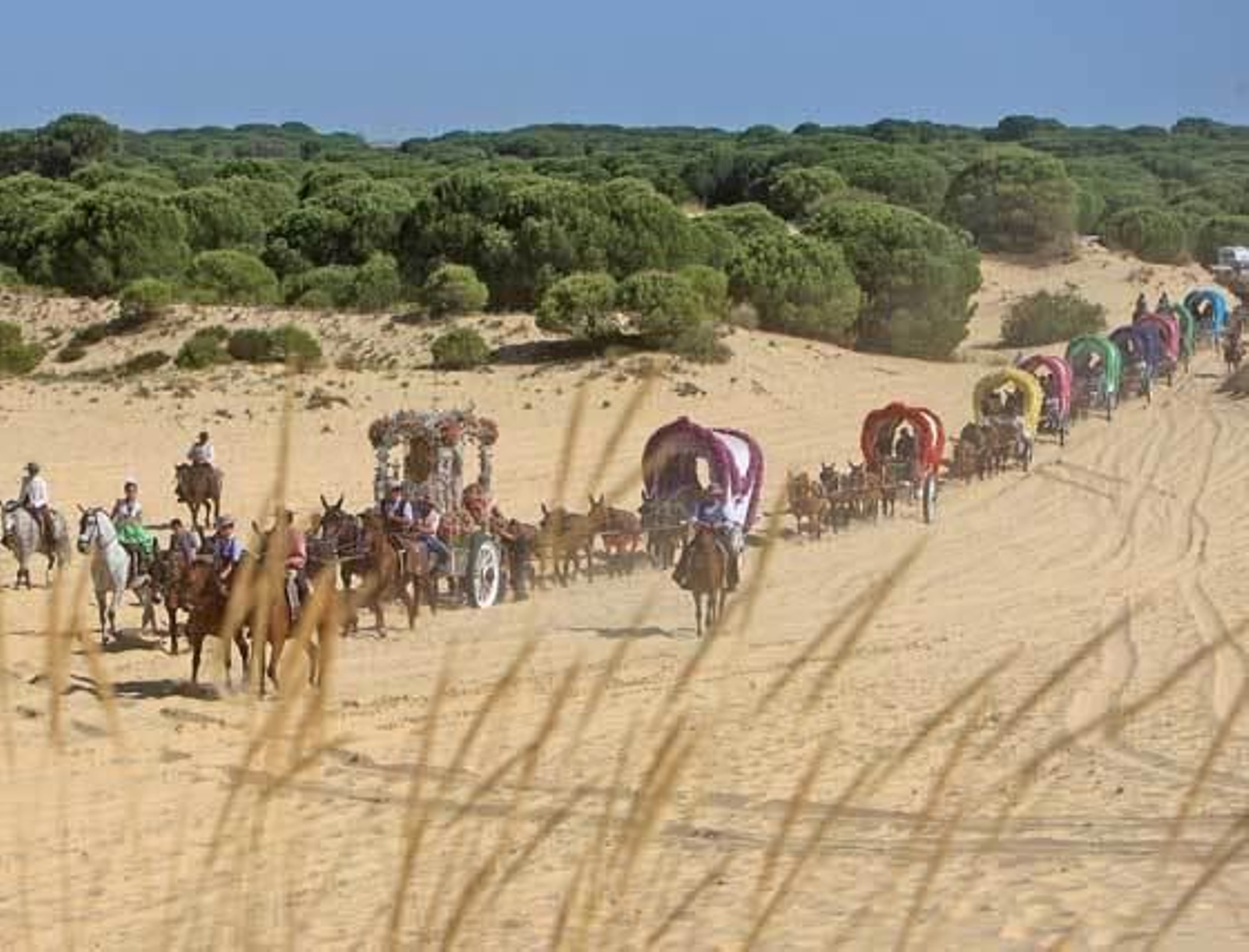La caravana rociera de la Hermandad de Jerez ayer atravesando las arenas del coto de Doñana.   Foto: Juan Carlos Toro