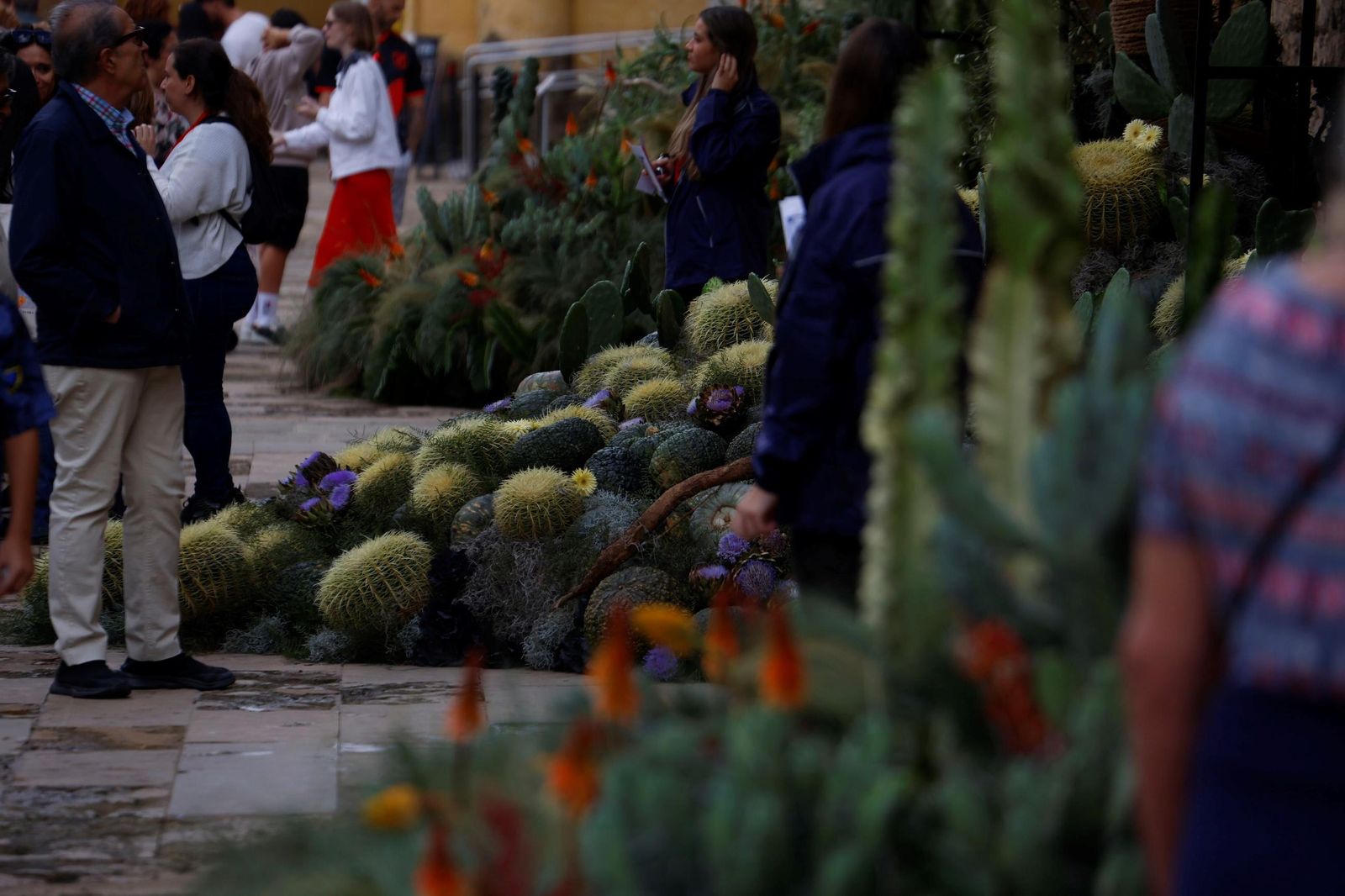 Las últimas horas para visitar las instalaciones de Flora en Córdoba, en imágenes