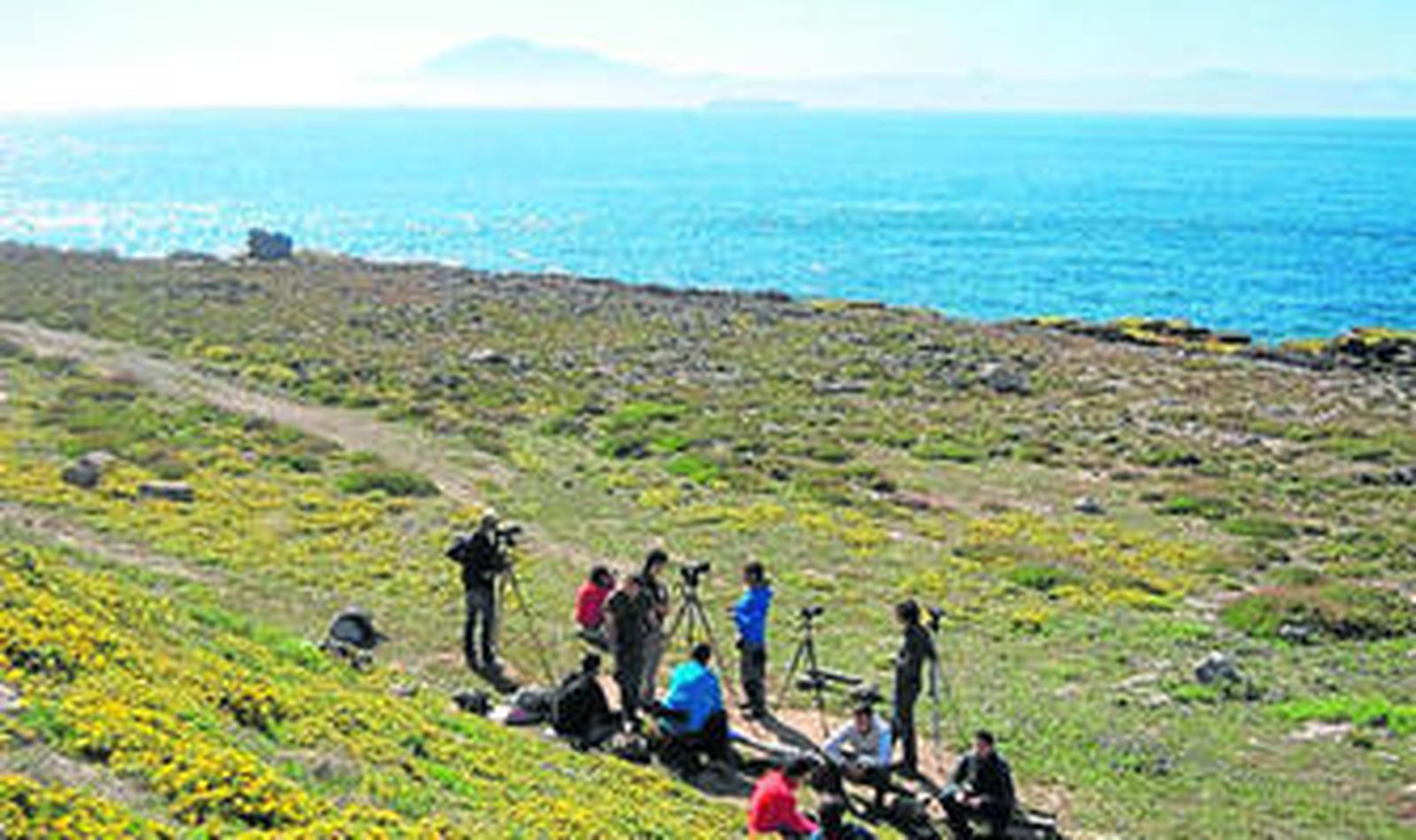 Un grupo de voluntarios en un día de trabajo sobre el terreno.