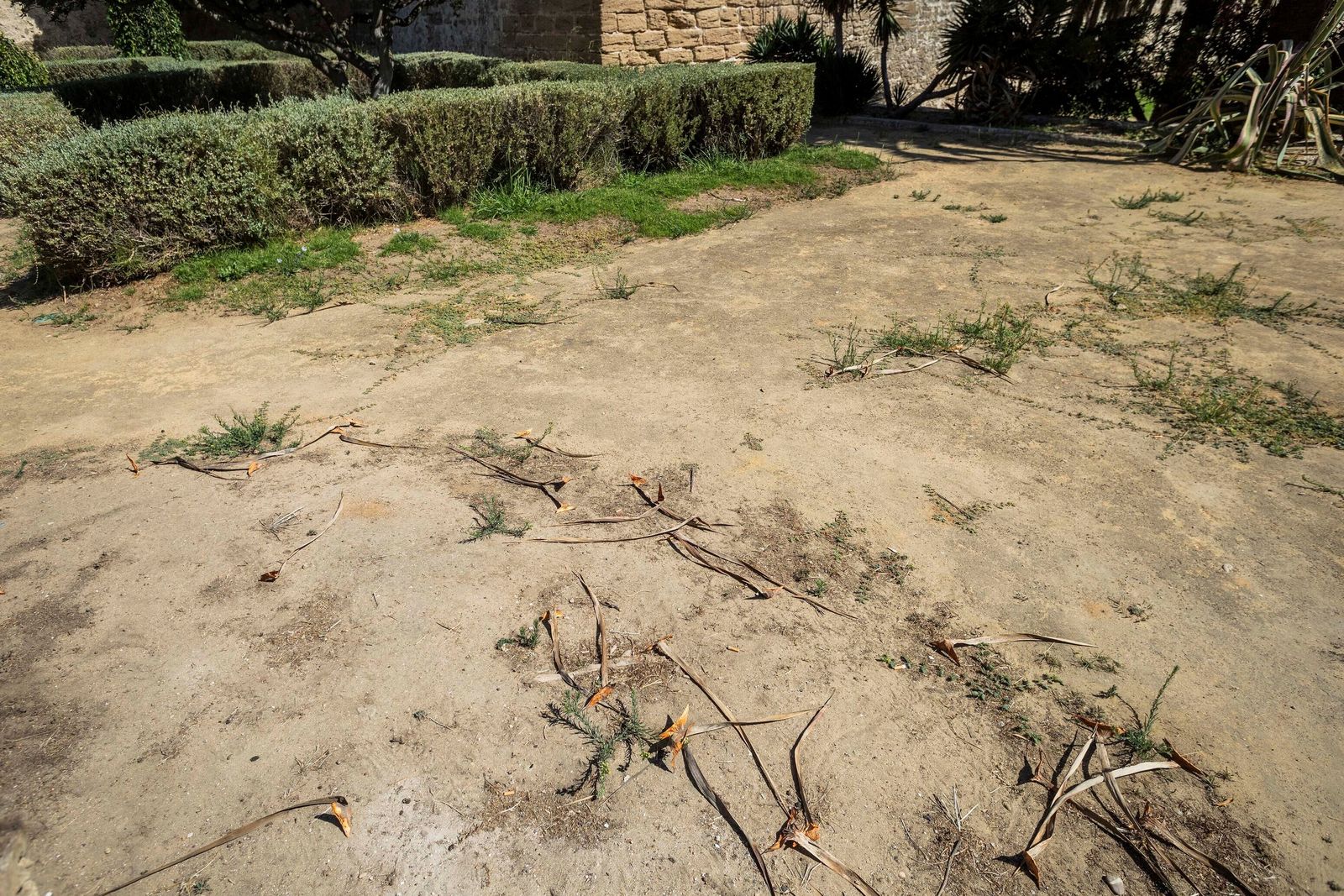 El estado de los jardines de la muralla de Cádiz