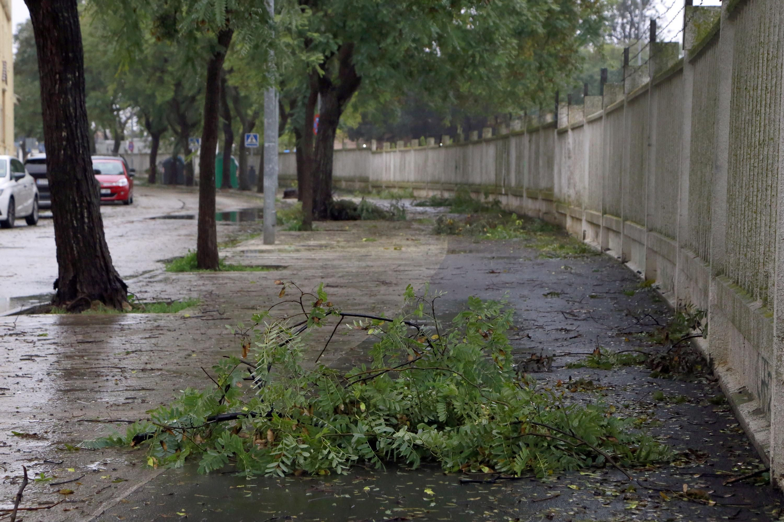 Las imágenes del temporal en Jerez