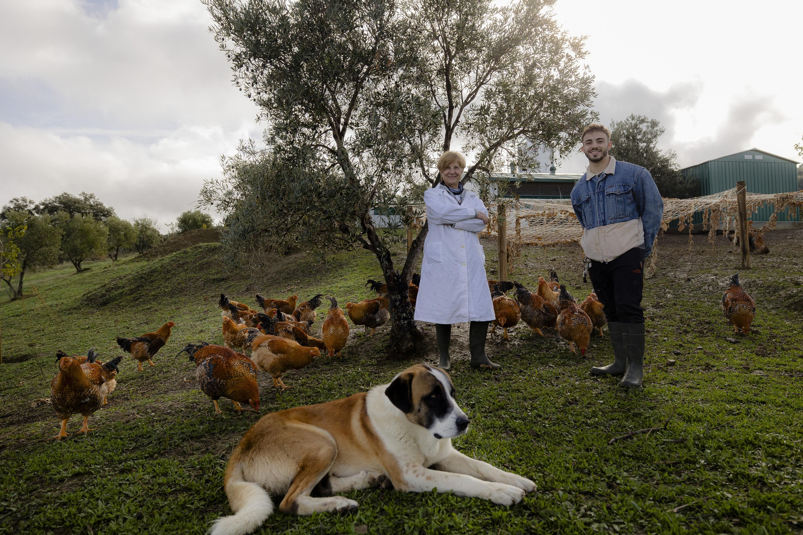 Imágenes de la finca "Loma Verde"; dedicada a la cría de capones y pulardas en libertad.