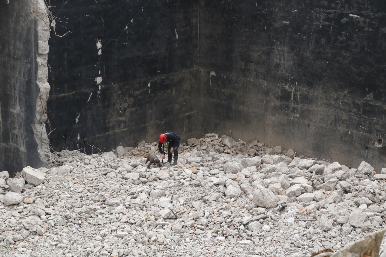 Práctica de la Unidad Canina y el Equipo de Intervención de Bomberos Unidos Sin Fronteras, en imágenes