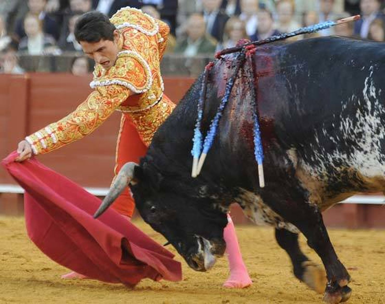 Joselillo: La gran sorpresa de 2008