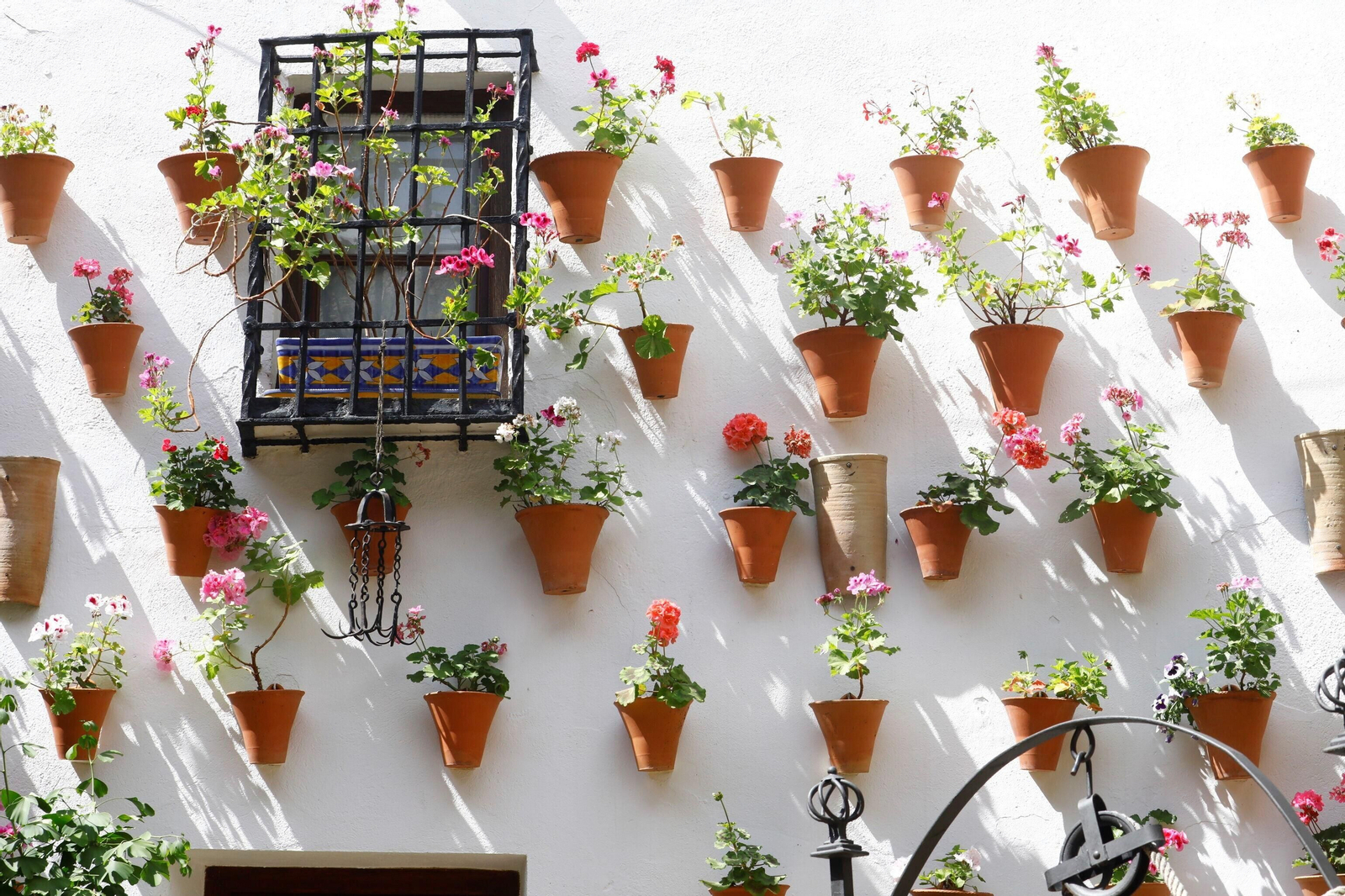 Los patios de Córdoba de la ruta Judería-San Francisco, en imágenes