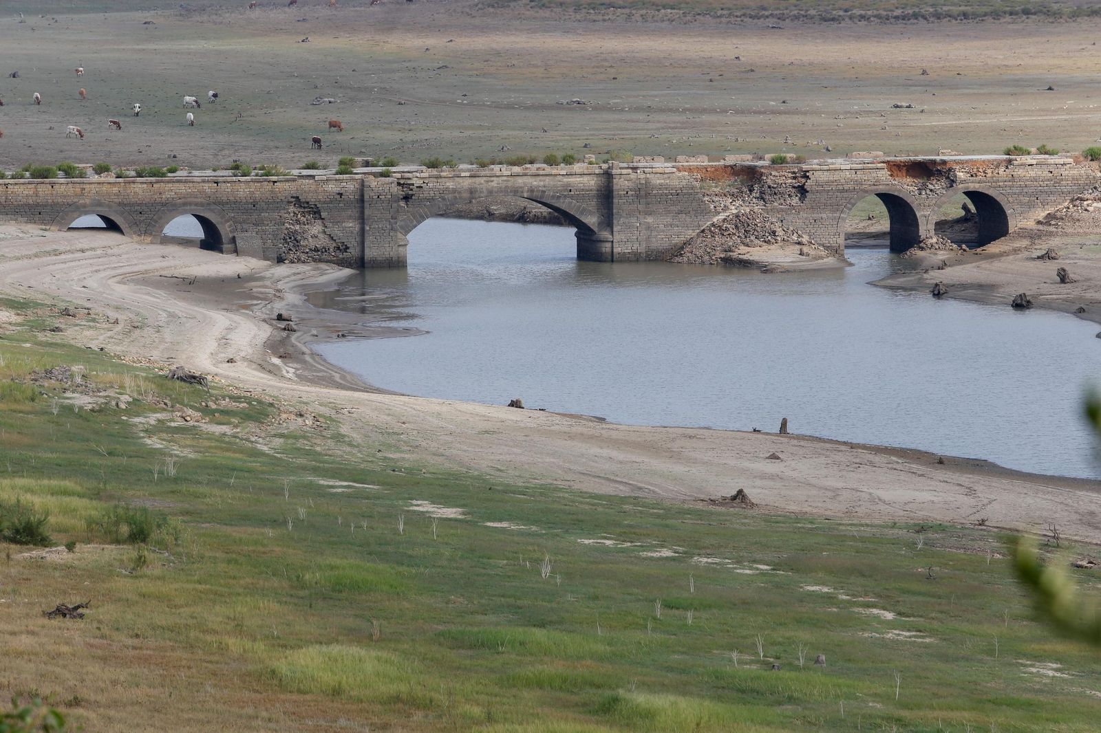 Fotos del estado del pantano de Charco Redondo en Los Barrios
