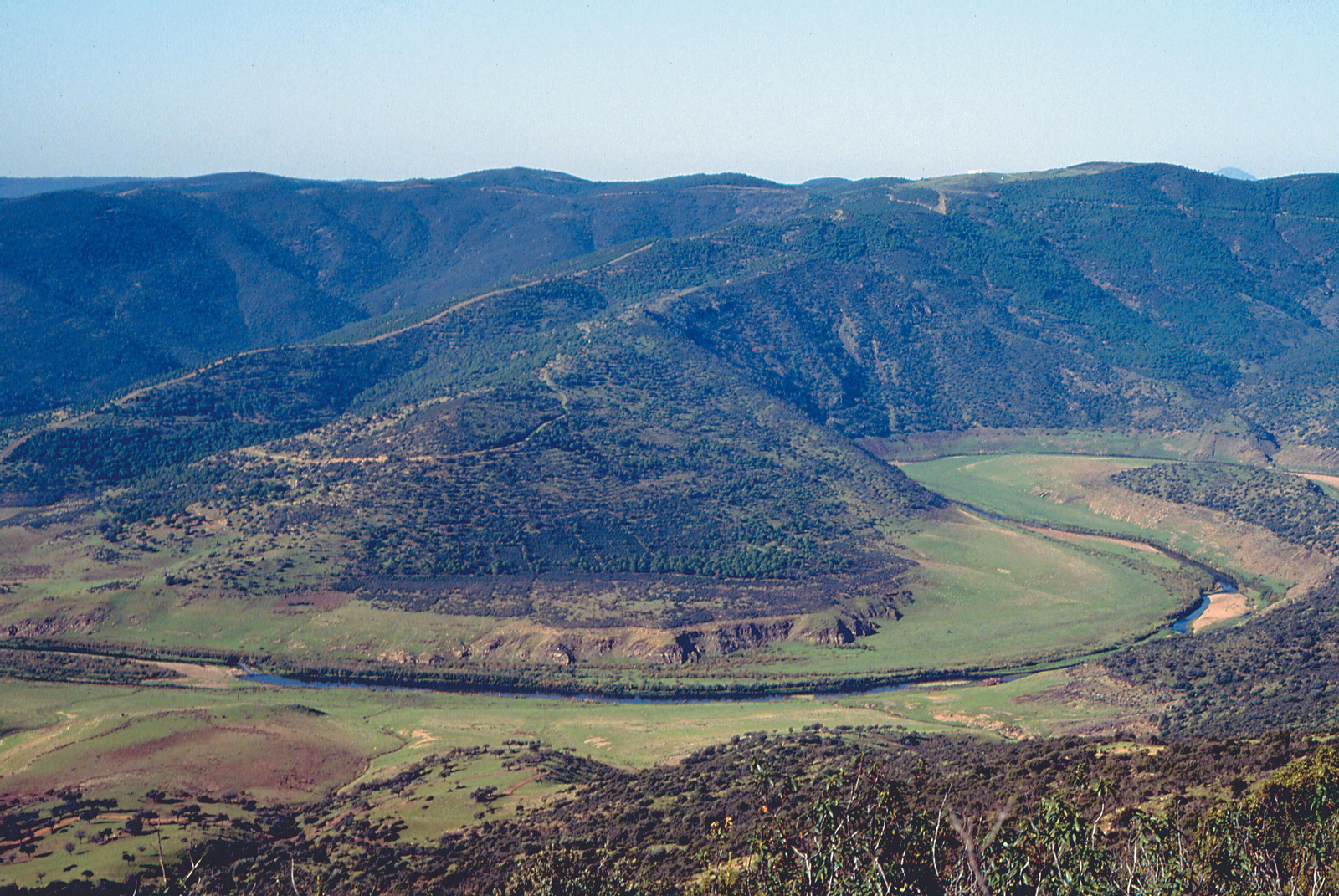 En miradores como este pueden observarse tres especies carroñeras: el buitre leonado, el negro y el alimoche.