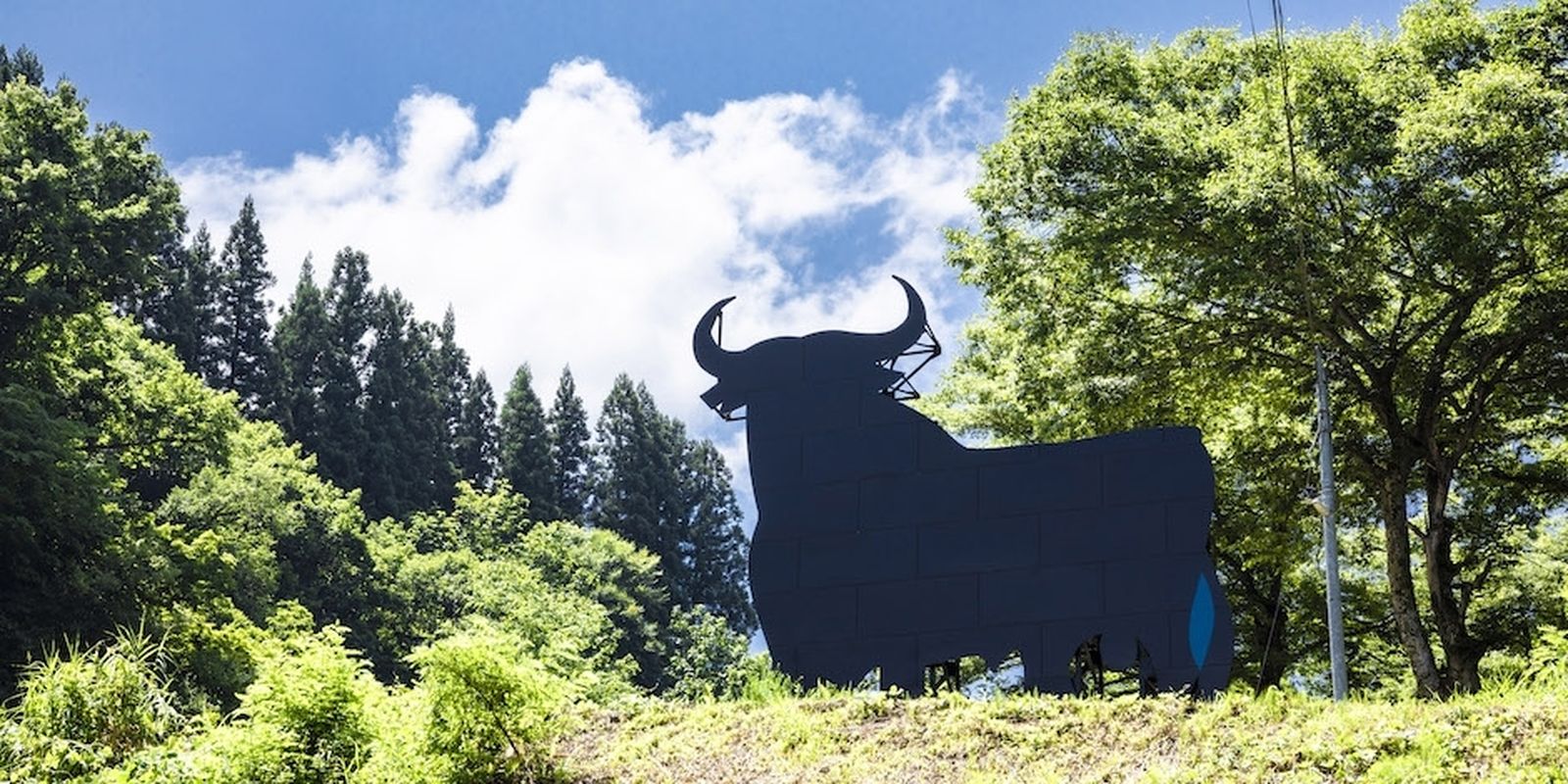 El toro, en el bosque de hayas.