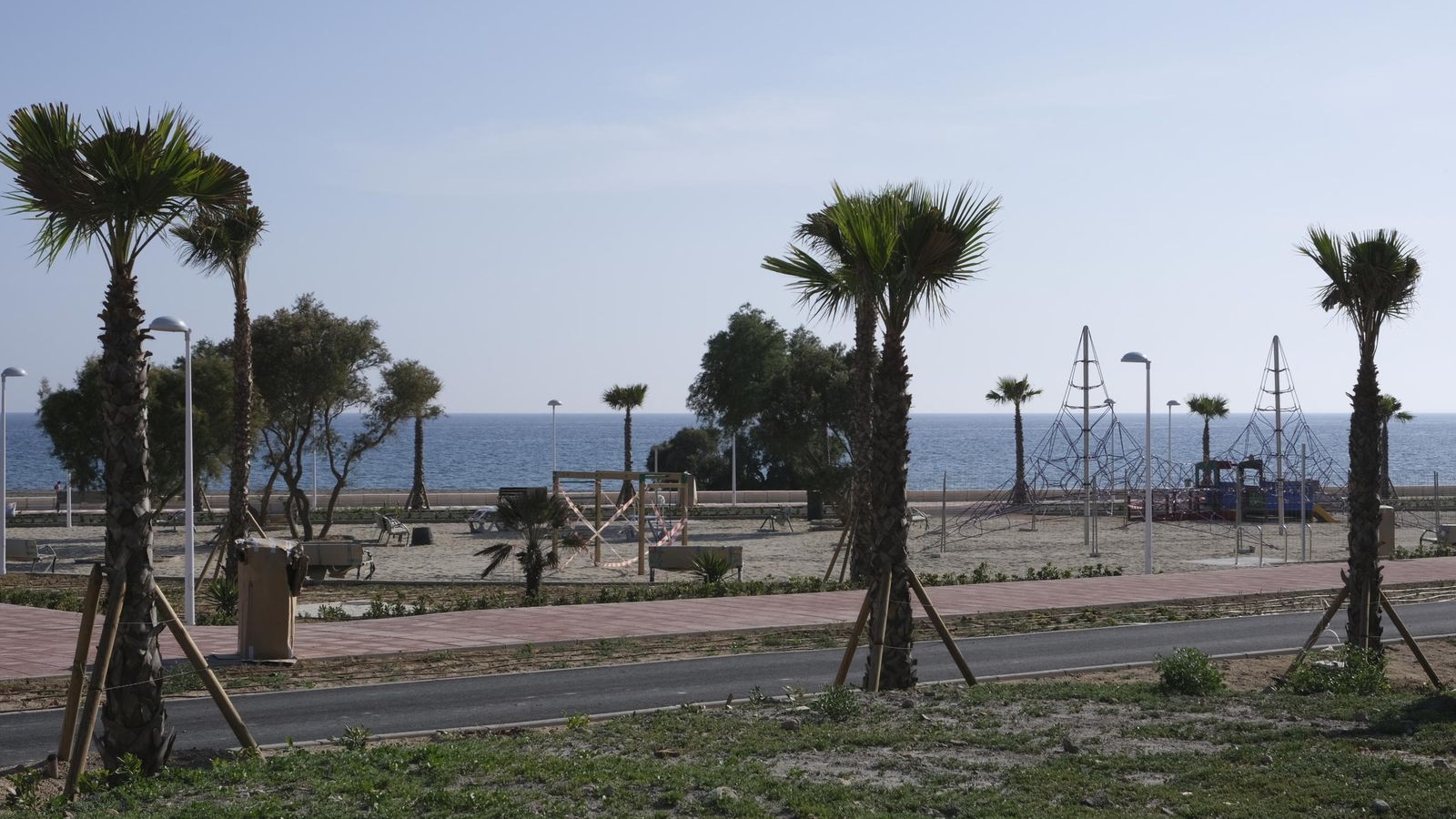 Más de un centenar de palmeras jalonan el recorrido costero