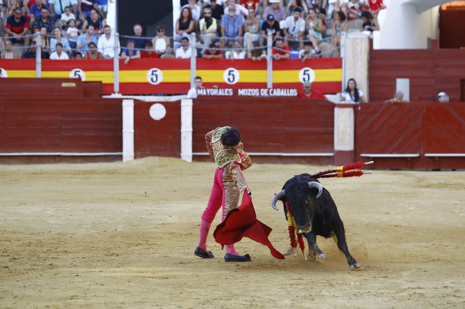 Imágenes de la novillada organizada por la Escuela Taurina de Almería