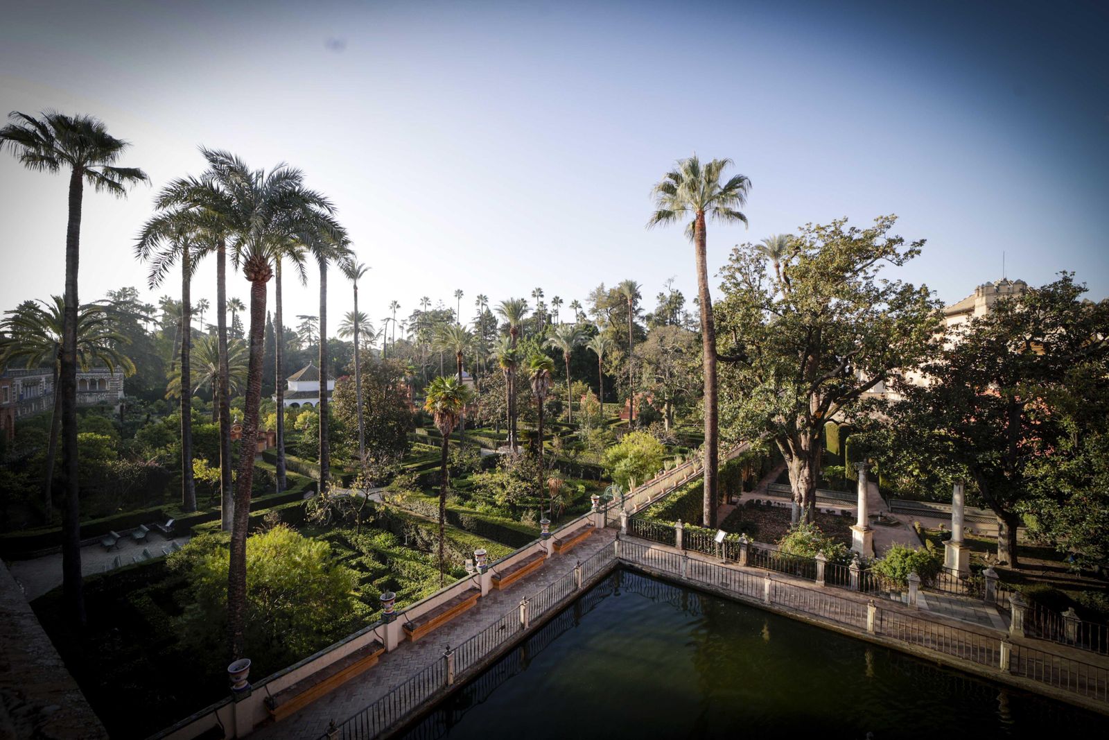 Cerrados los jardines del Alcázar tras el temporal que ha destrozado 14 árboles