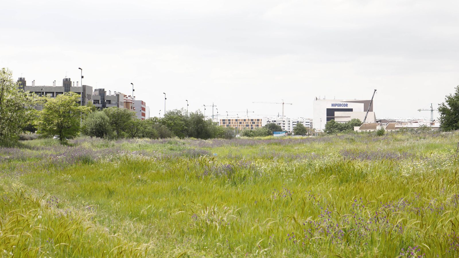 Parte de los terrenos del parque.