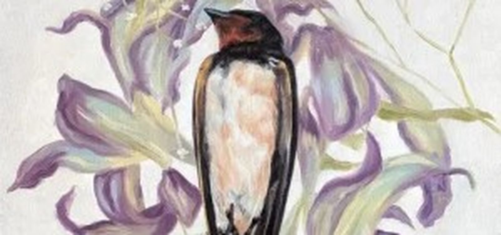 'Golondrina muerta sobre cama de flores secas' de María Hernández Belmonte.