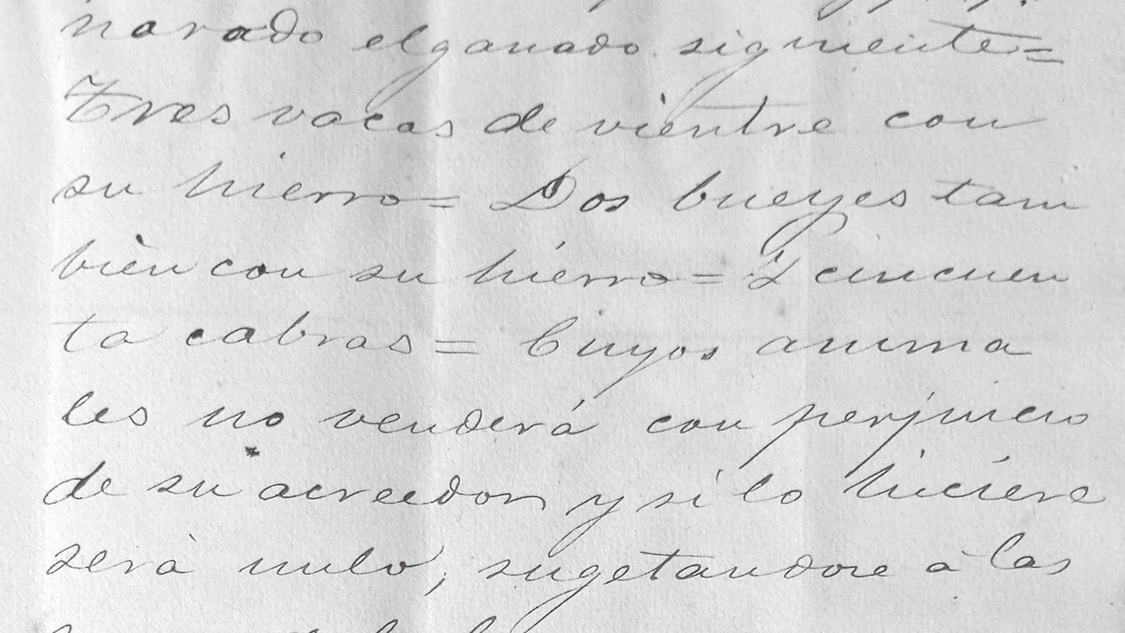 Extracto del ganado pignorado por los ganaderos deudores.