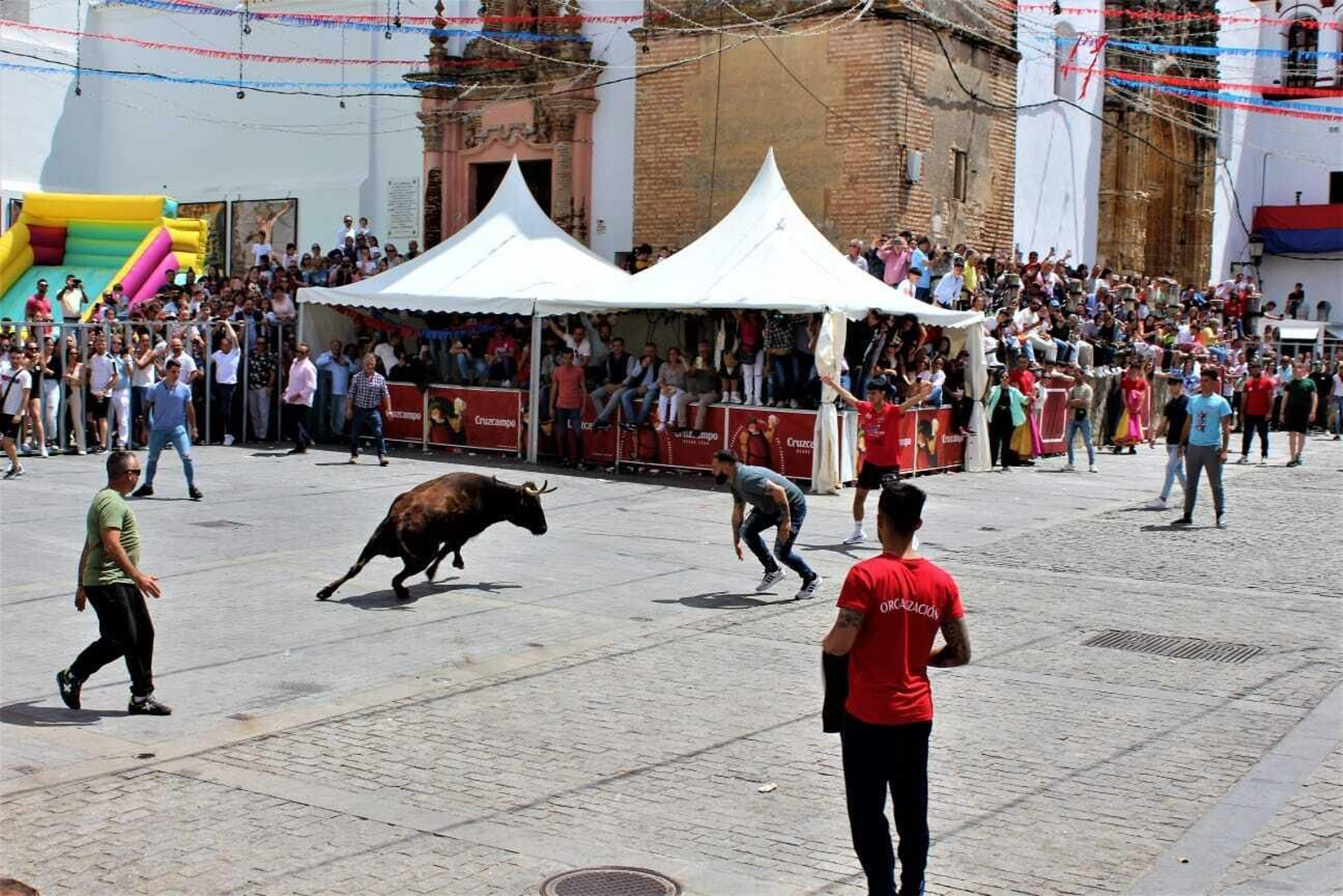 Festividad de San Jorge, patrón de Alcalá de los Gazules