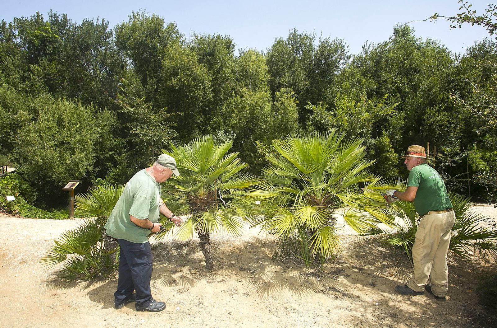 Un paraíso vegetal en Palos de la Frontera