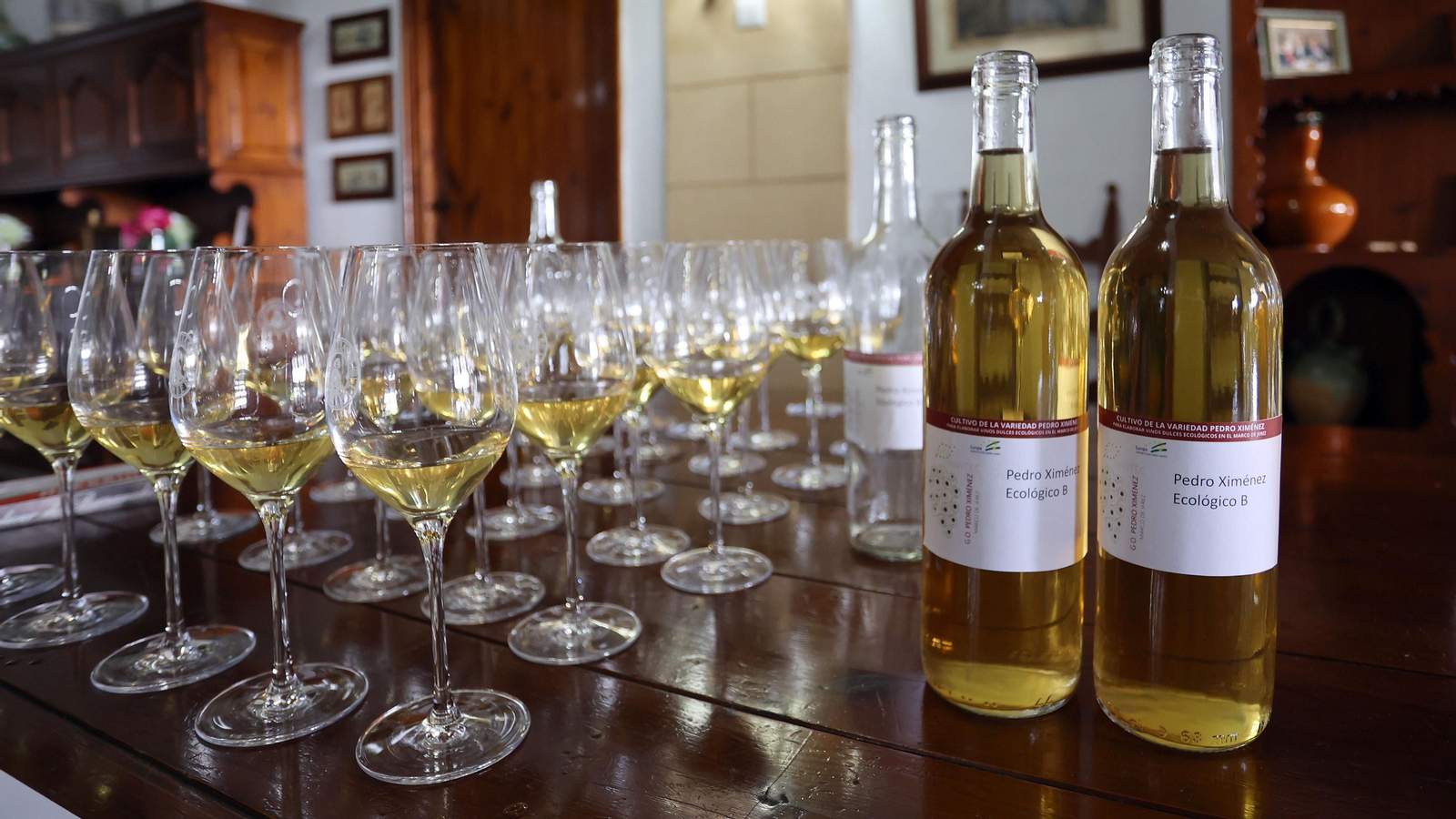 Vinos ecológicos con uva Pedro Ximénez