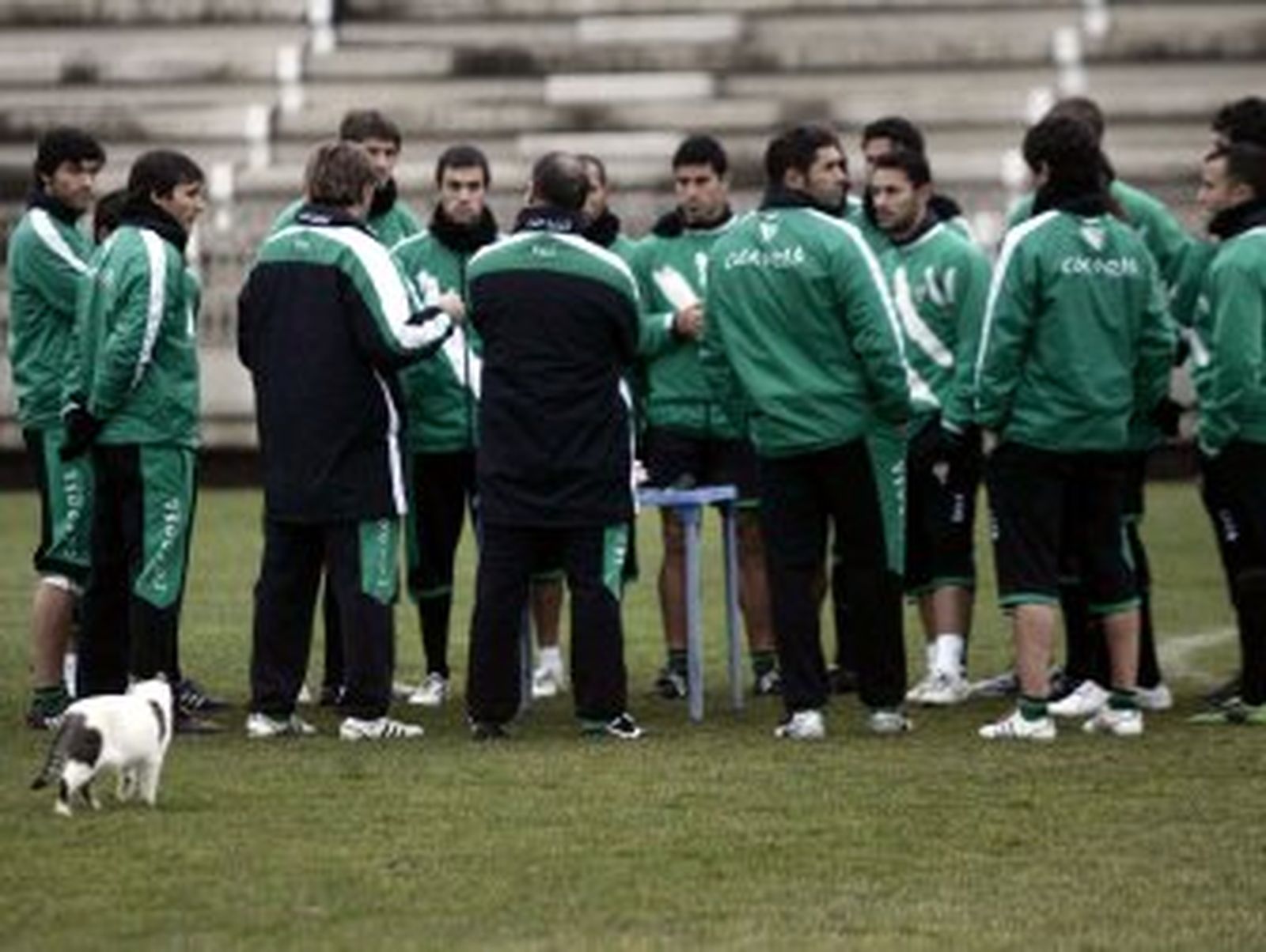 Cuatro motivos para reflexionar