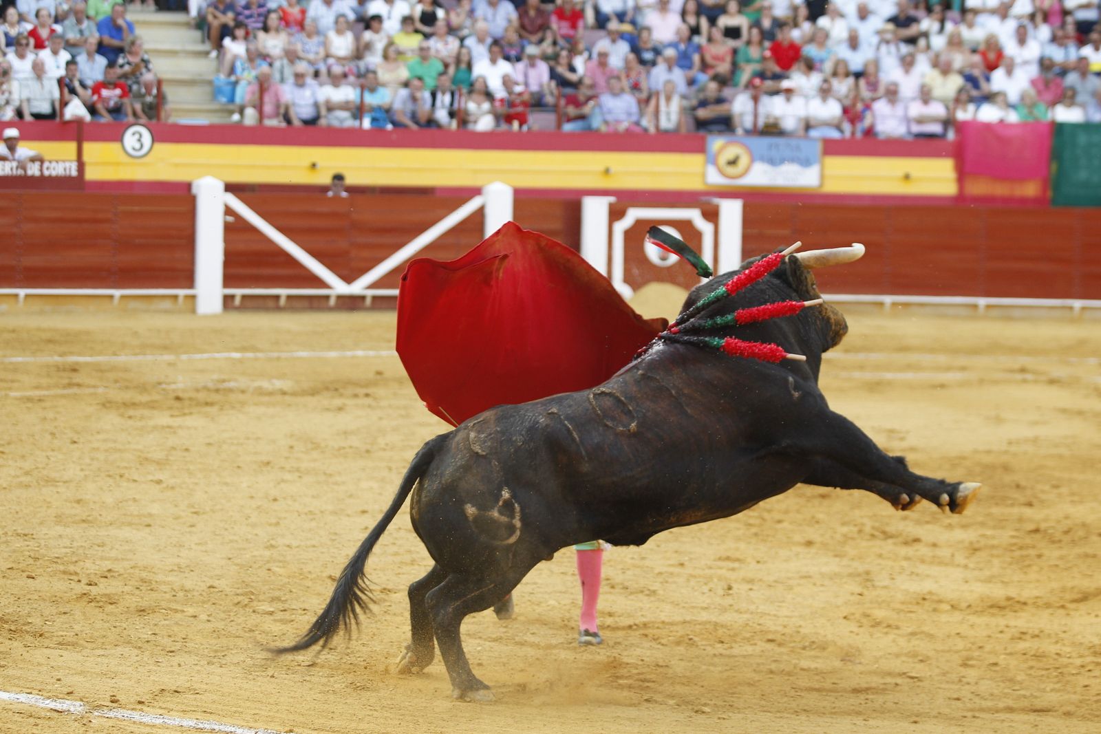 Fotogalería corrida de toros Roquetas de Mar. El Fandi, Castella, Cayetano.