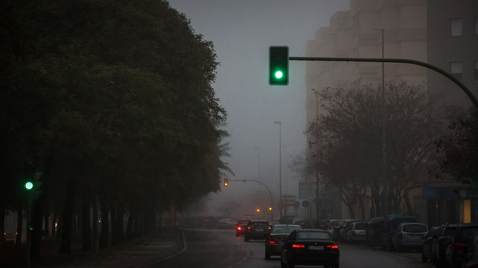 Densa niebla en Jerez