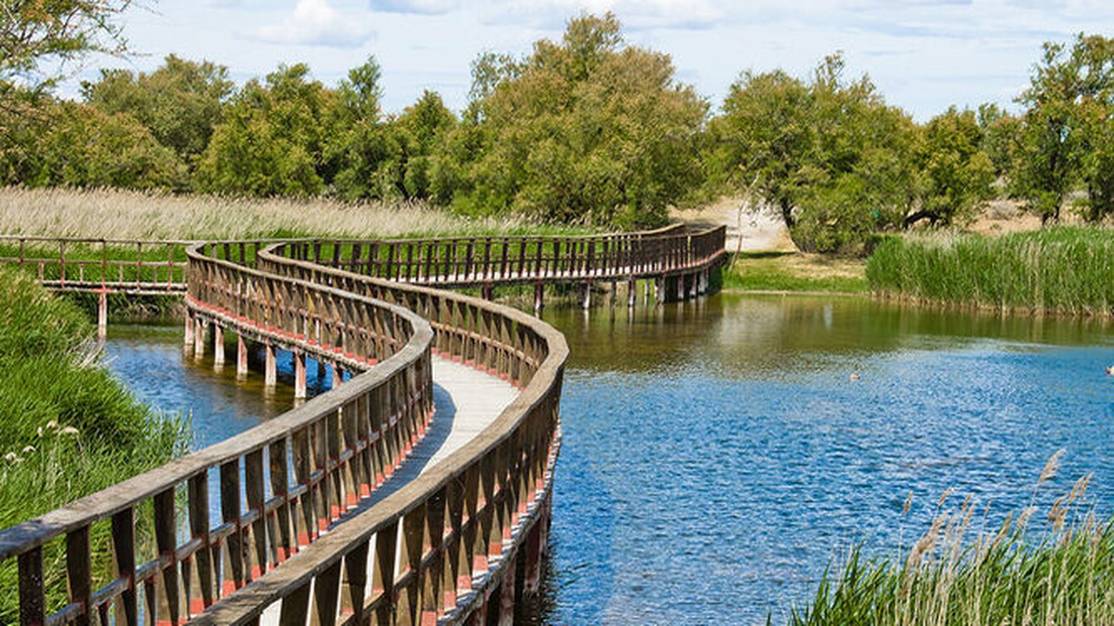 estampa-Parque-Nacional-Tablas-Daimiel_1367873420_101939400_667x375