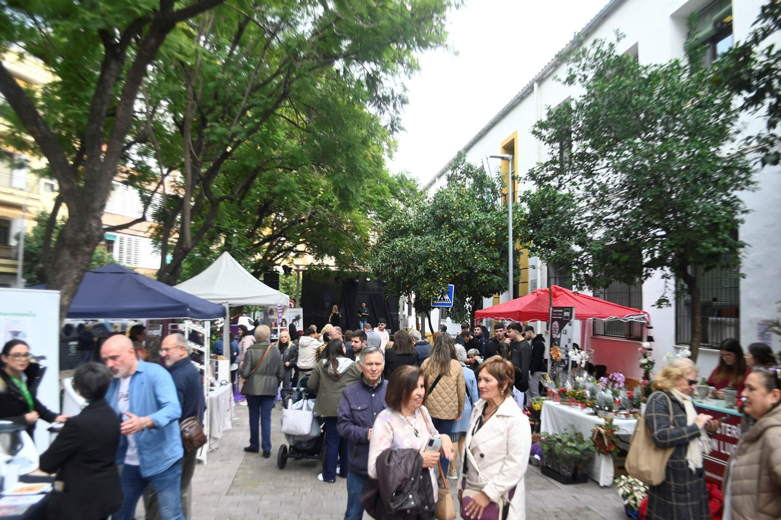 La Shopping Garden de Ciudad Jardín, en imágenes