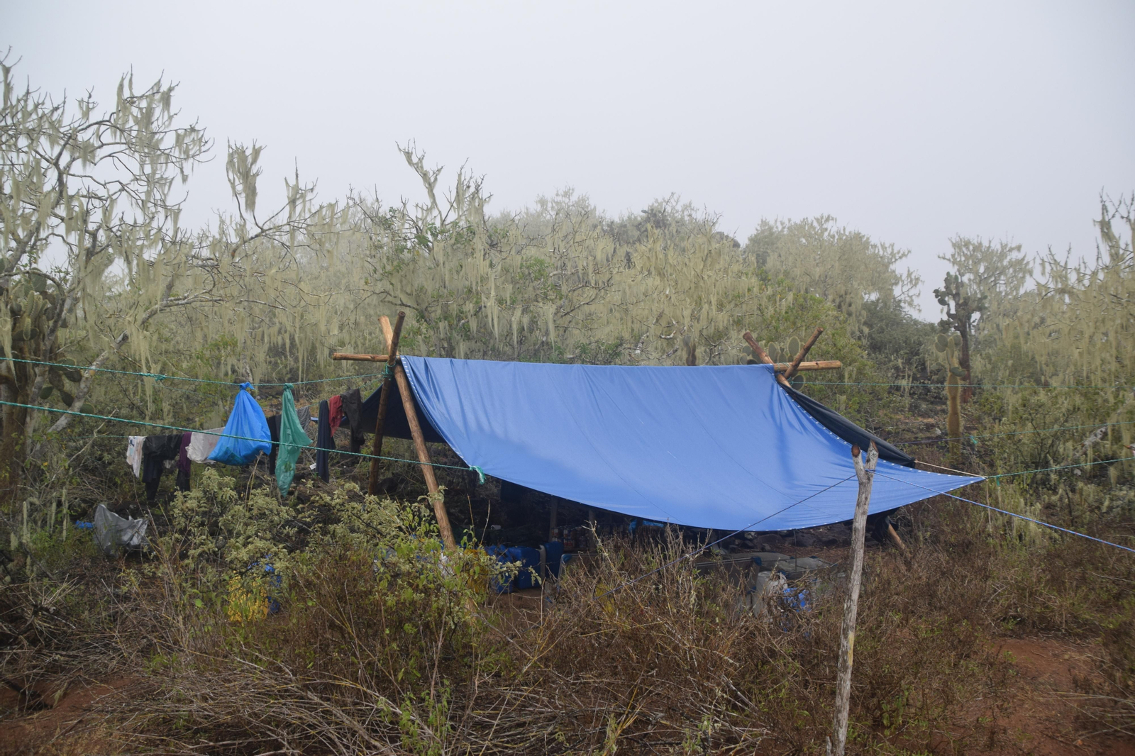 Las fotografías de Bárbara Sellés en una isla desierta para estudiar tortugas Las fotografías de Bárbara Sellés en una isla desierta para estudiar tortugas