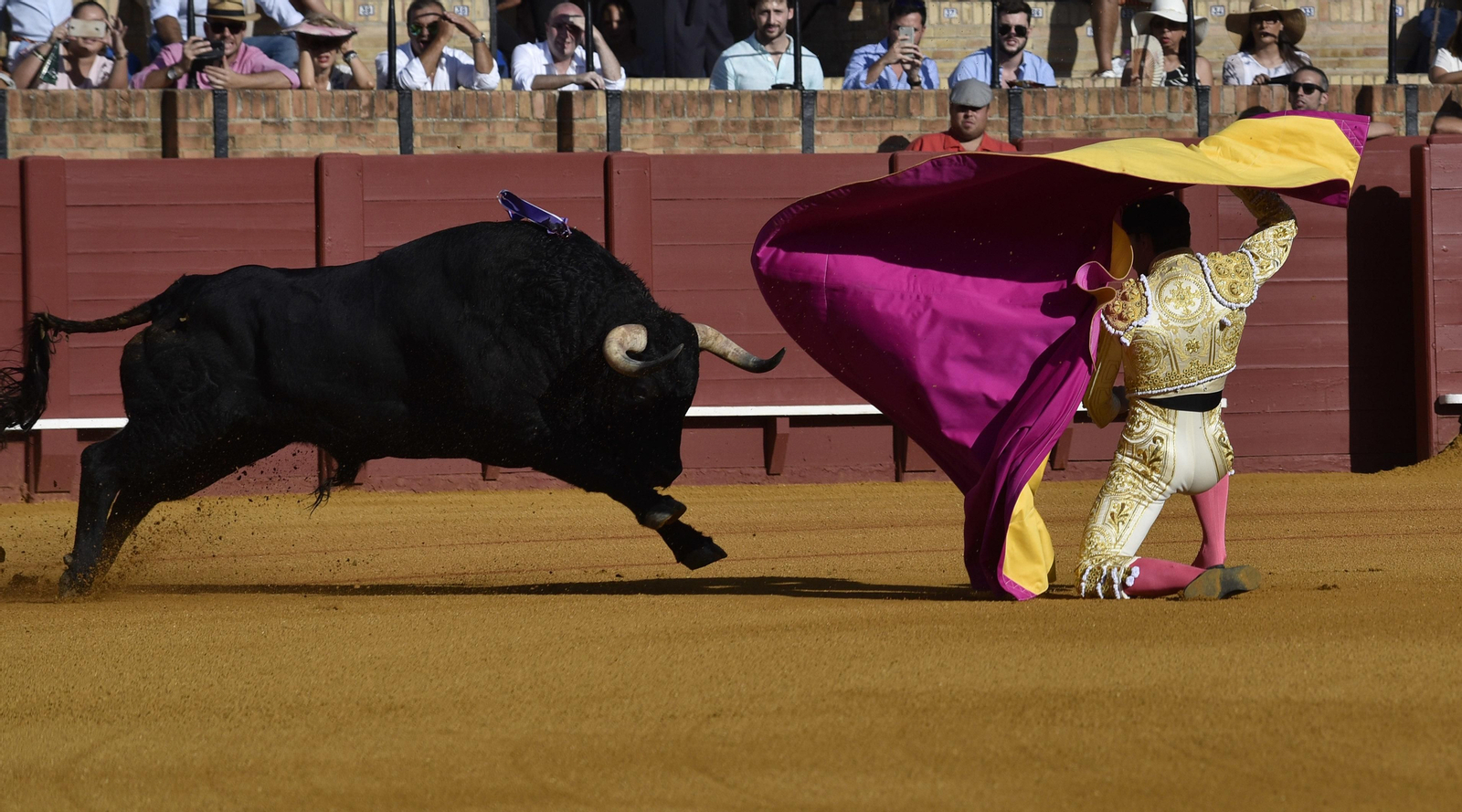 La segunda corrida de la Feria de San Miguel, en imágenes