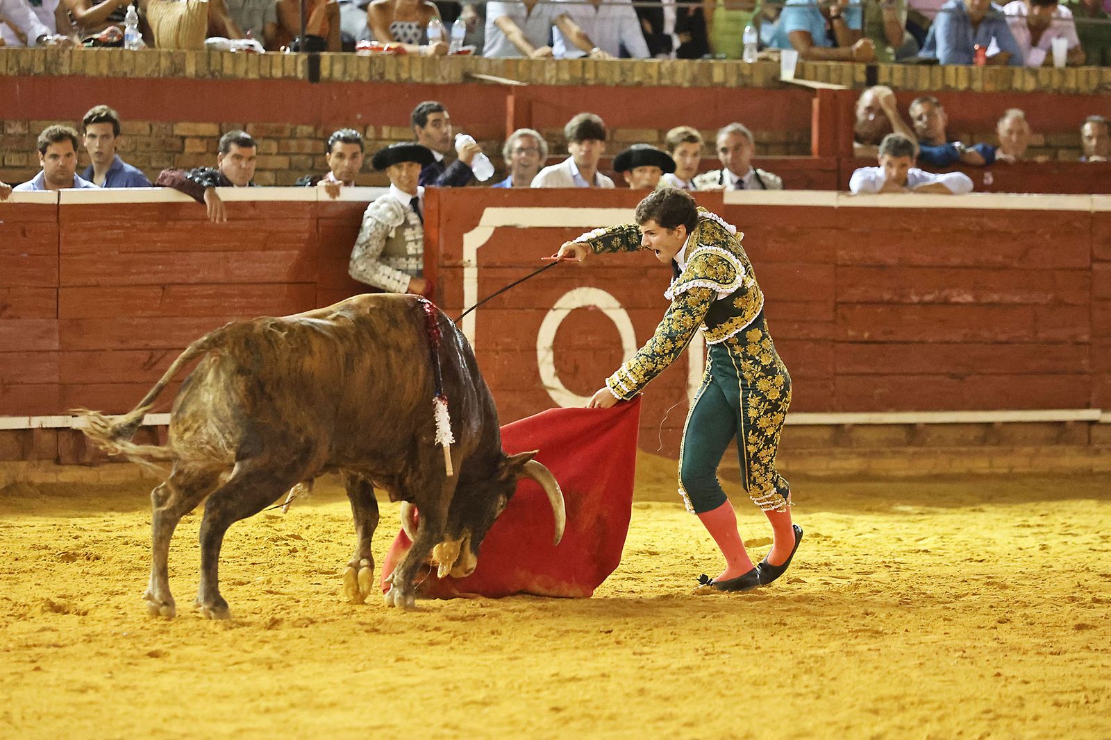 Toros La Merced 2024 Novillada con picadores(