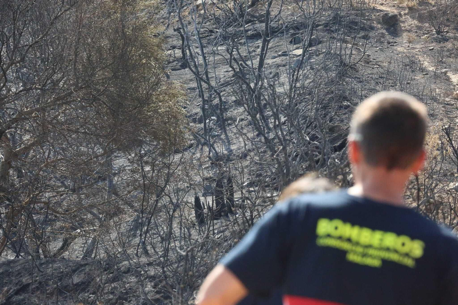Las fotos de las zonas arrasadas por el incendio en la Sierra de Mijas
