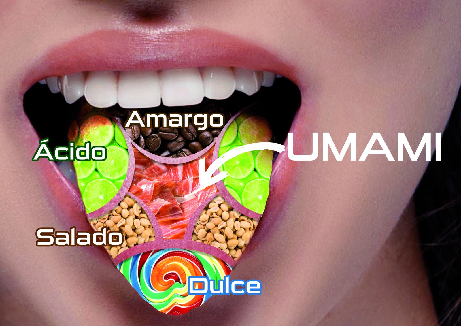 Las papilas gustativas distinguen cuatro sabores, pero hay un quinto, llamado umami, que en japonés significa "sabor delicioso, sabroso"