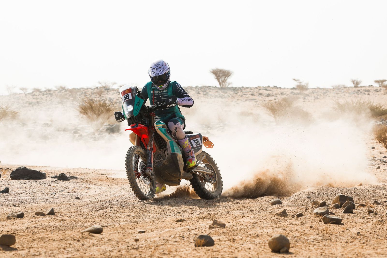 Las mejores fotos del Rally Dakar | undécima etapa