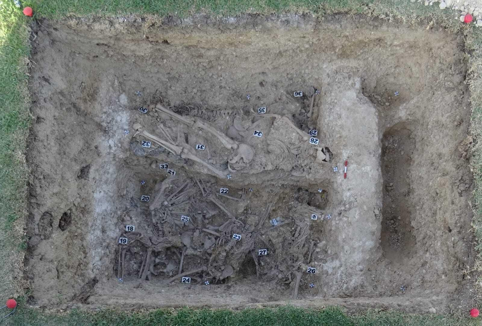 Restos humanos hallados en los sondeos.