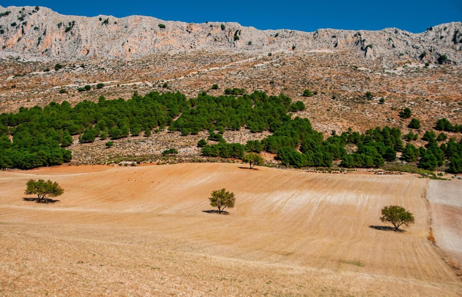 Sierra de Huétor: Miradas y miradores en Granada