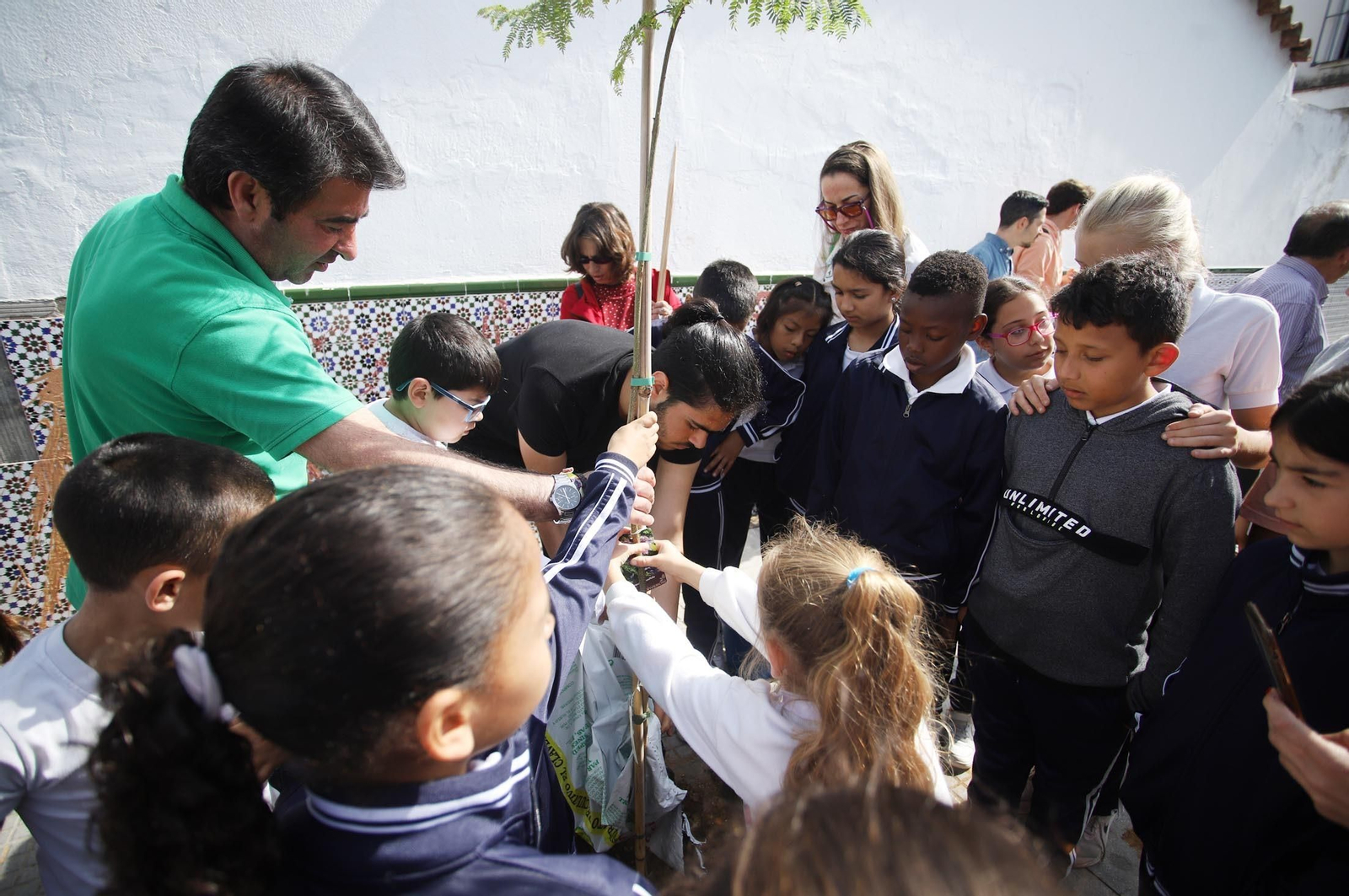 Imágenes la plantación de árboles en la Barriada de la Navidad por alumnos del Colegio Virgen de Belén