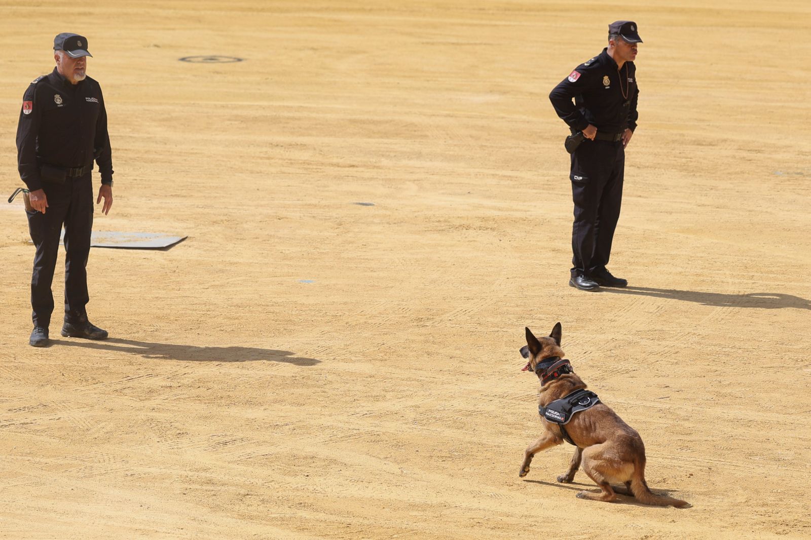X Encuentro con Escolares de Málaga con la Policía Nacional