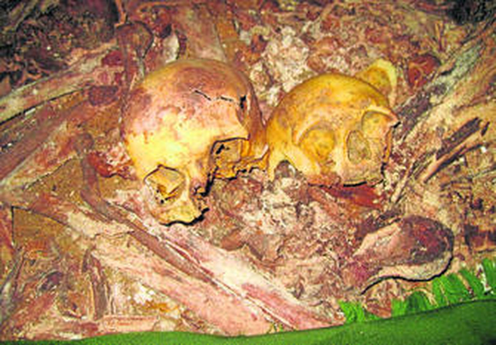 Fotografía de dos cráneos entre un buen número de huesos hallados en el subsuelo de la iglesia de San Juan de Dios.