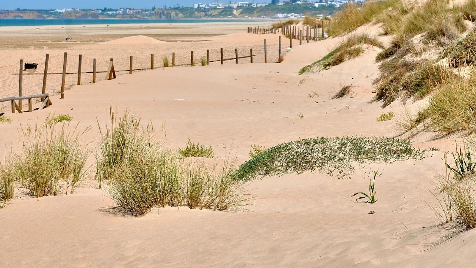 Este recorrido está repleto de interesantes sistemas dunares