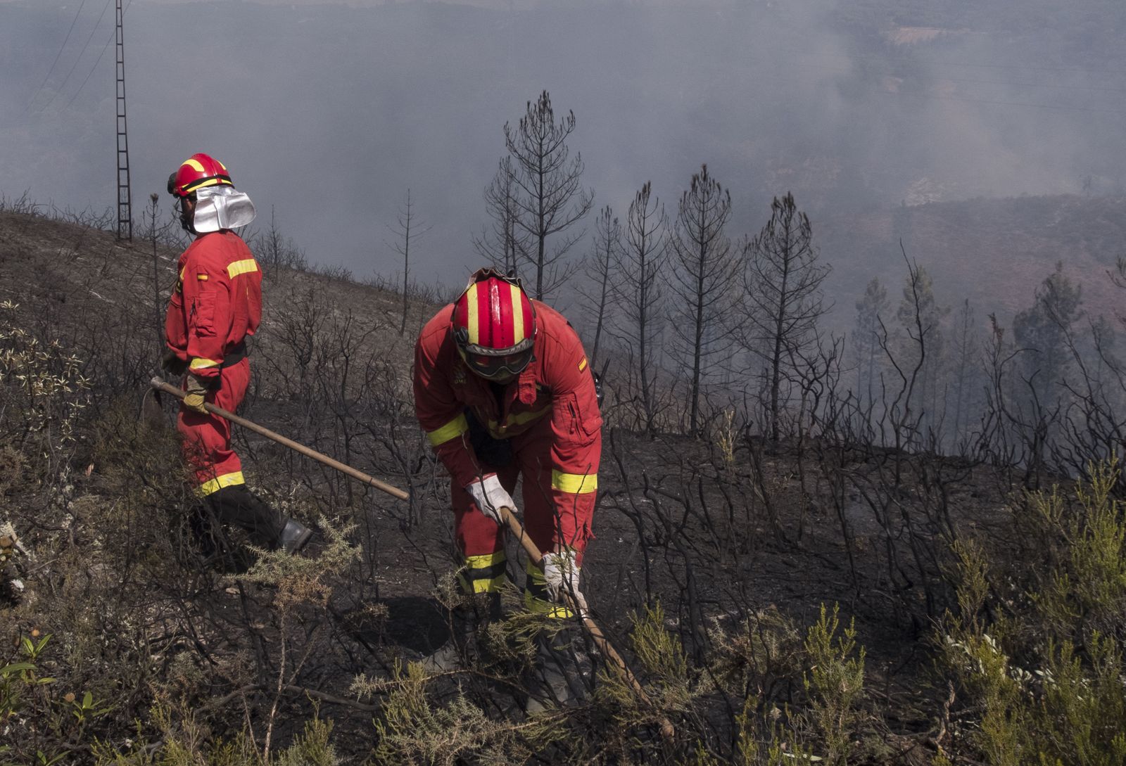 Los bomberos actuan en la zona del incendio.