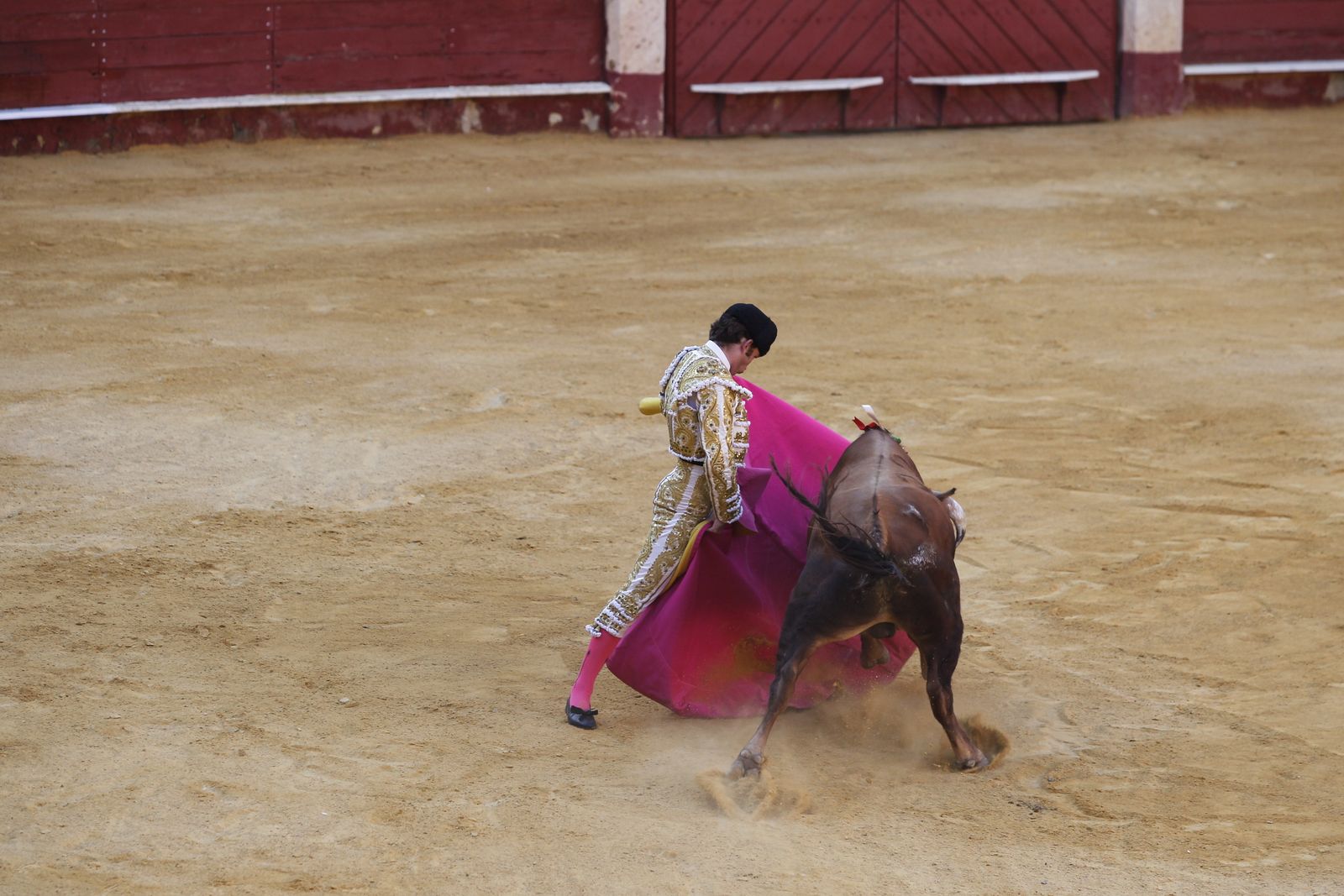 Fotogalería novillada Escuela Taurina de Almería. Feria de Almería 2019