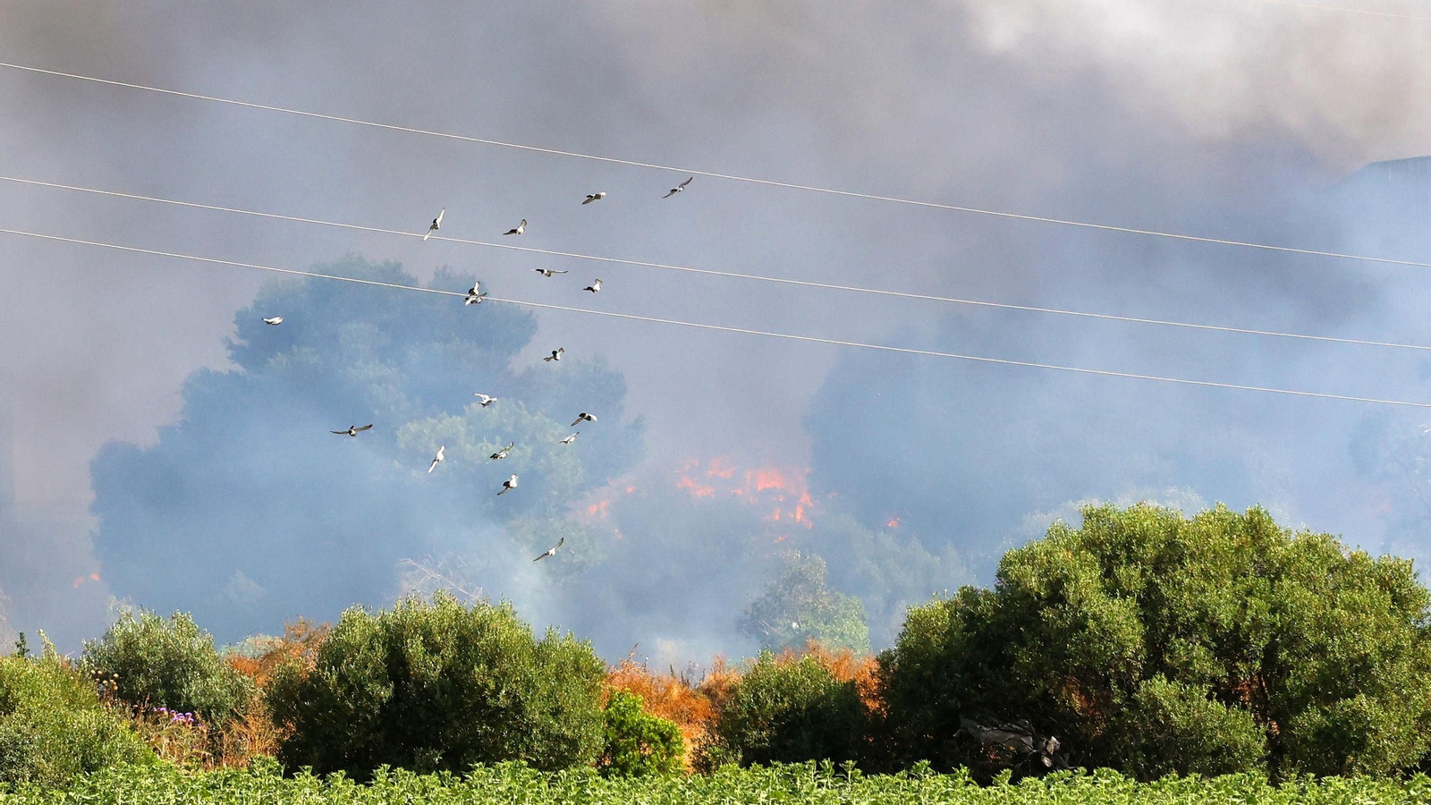 Imágenes del incendio en la planta de Las Calandrias en Jerez