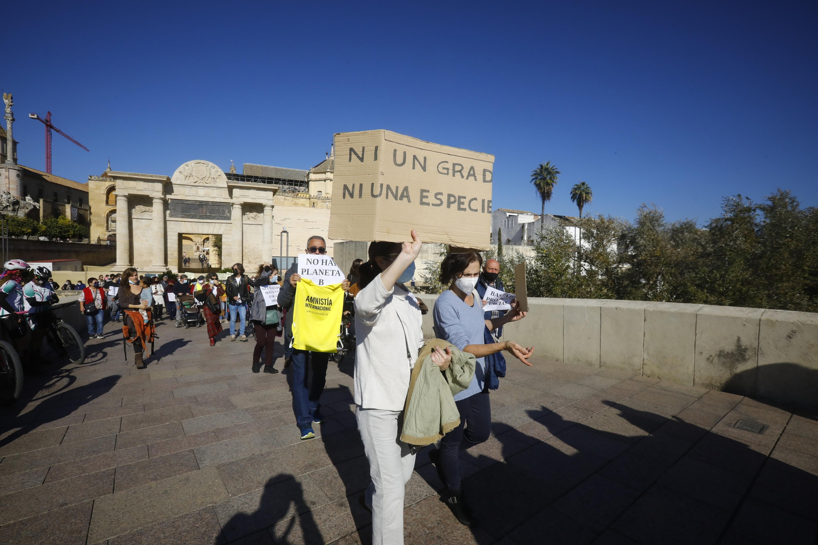 Así ha sido la manifestación por el clima en Córdoba
