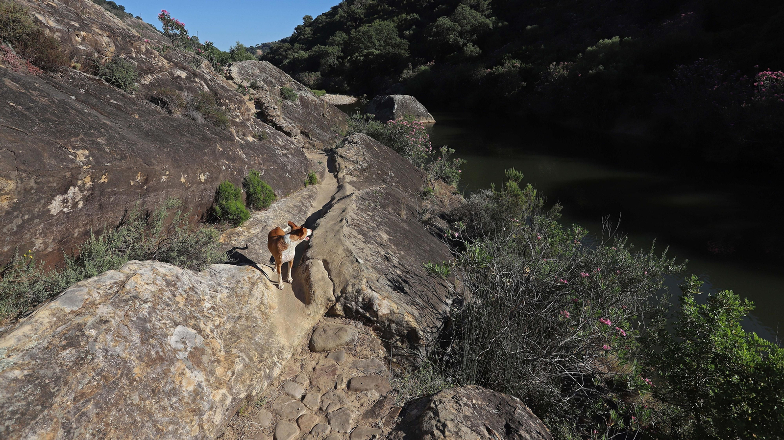 Las mejores fotos del sendero del Río Hozgarganta