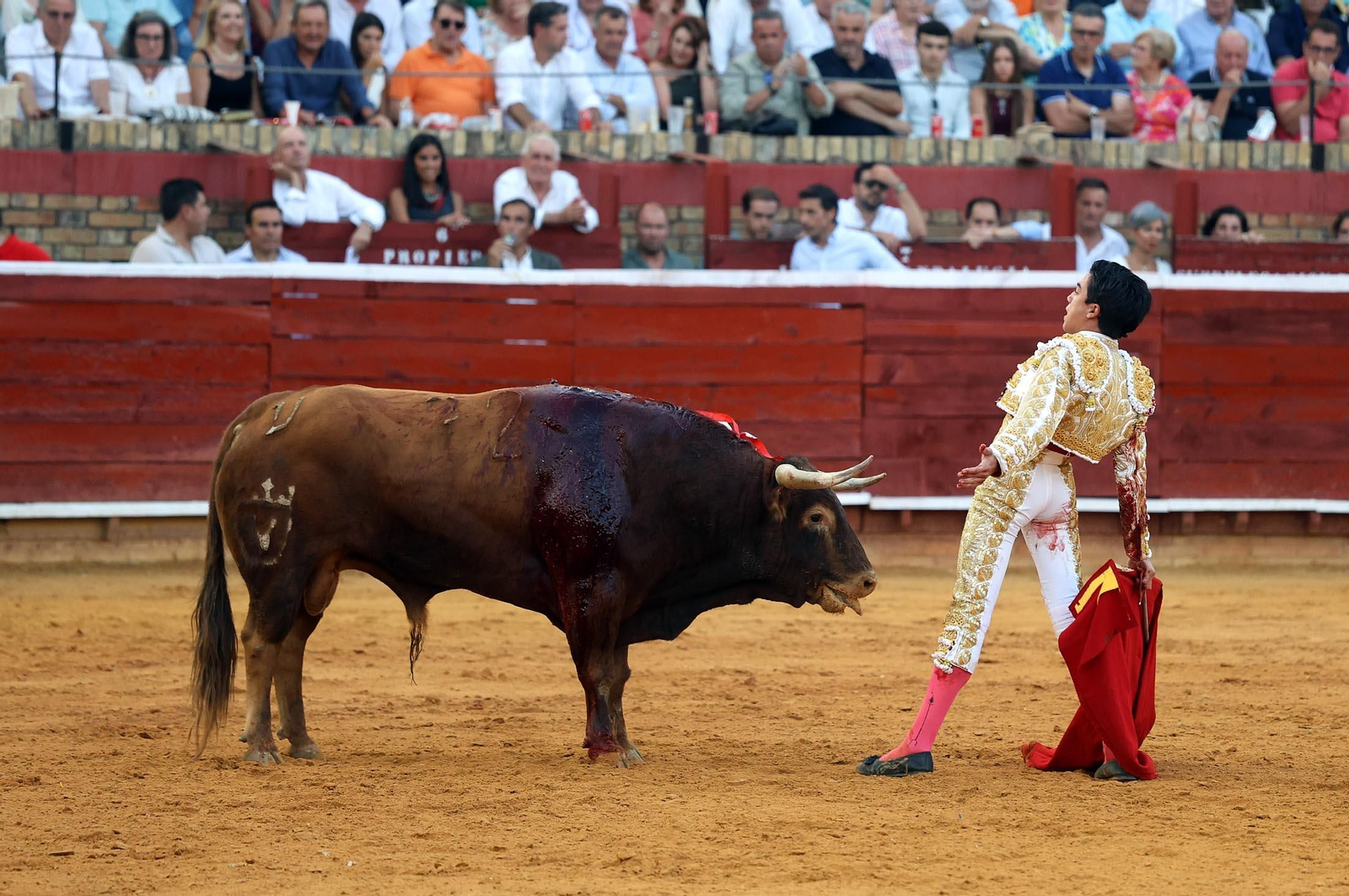 Toros La Merced 2025: Imágenes de la corrida de David de Miranda, Marco Pérez y Borja Jiménez