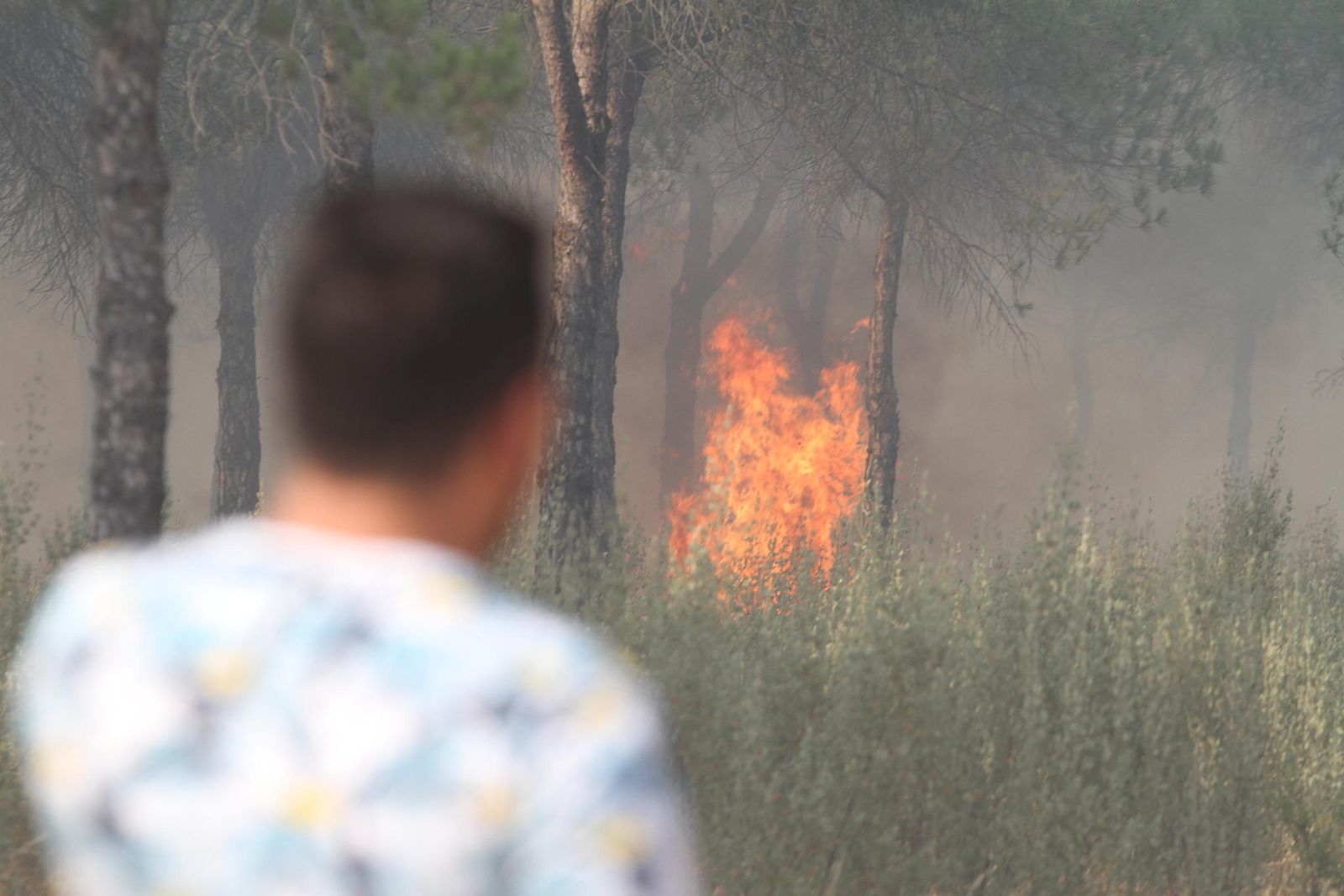 Las imágenes del incendio en Moguer y Mazagón