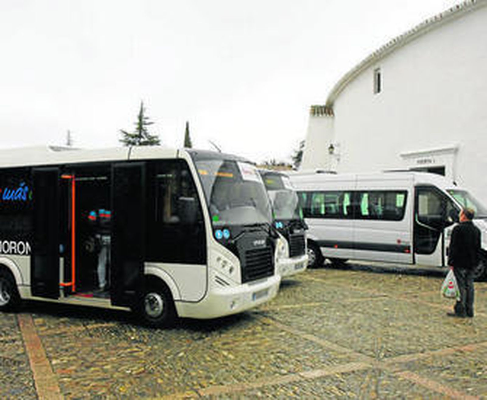 Los nuevos autobuses presentados el miércoles.