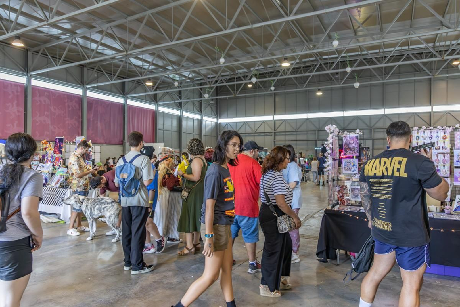 Jaén Go! en imágenes