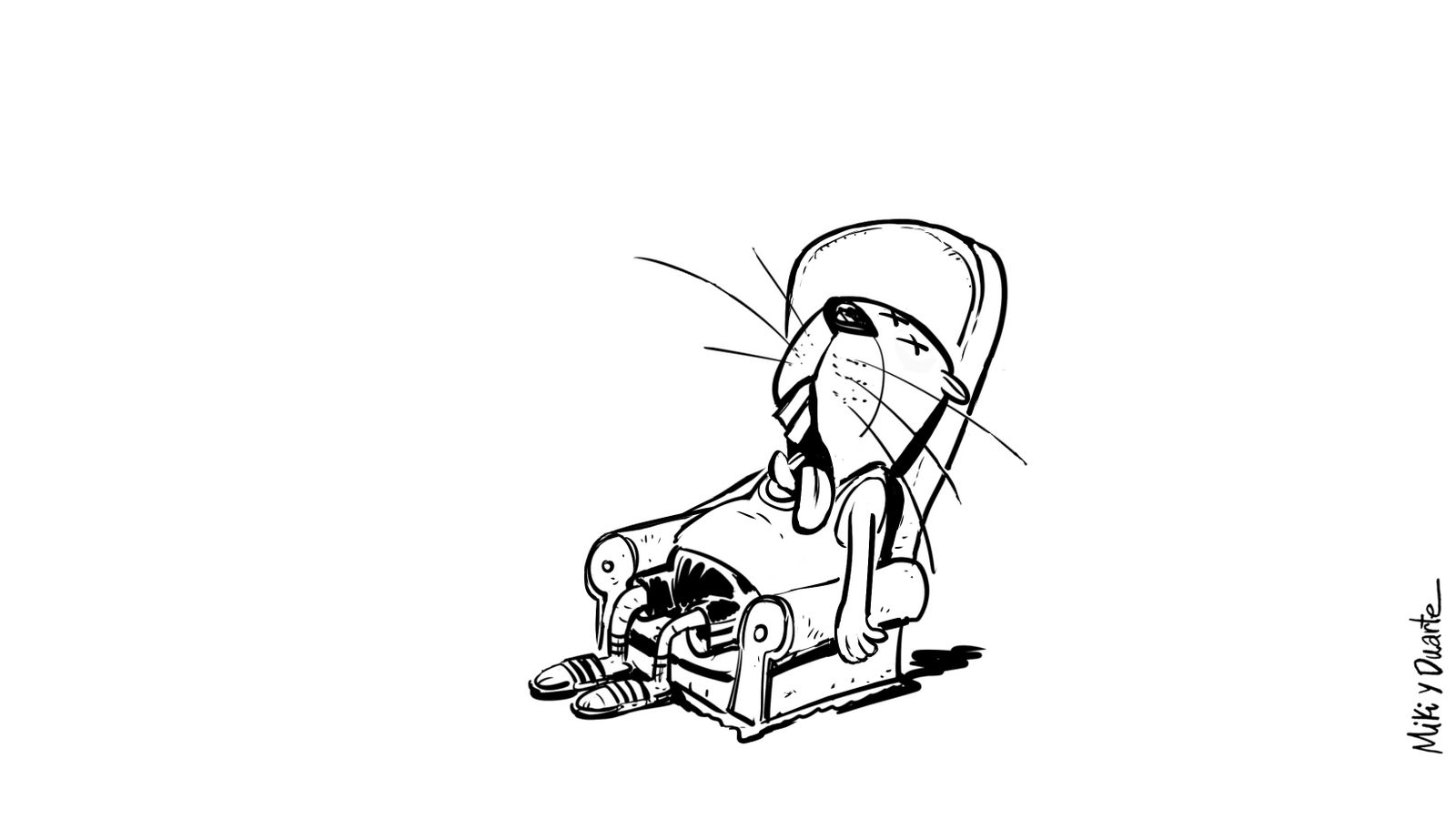 Crónica de unas elecciones anunciadas (en viñetas)