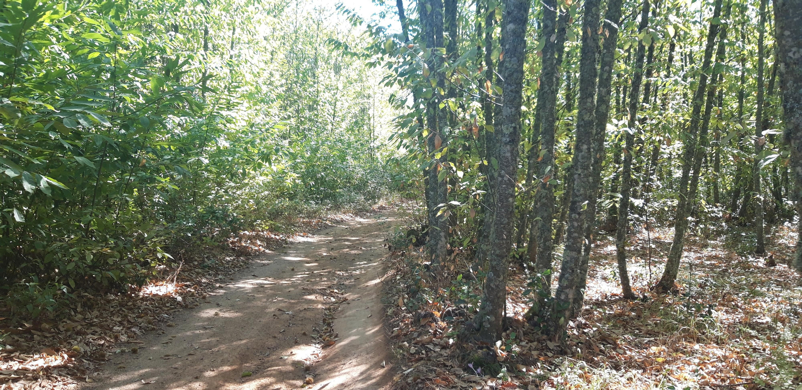 Las fotos de la Circular del Campovid